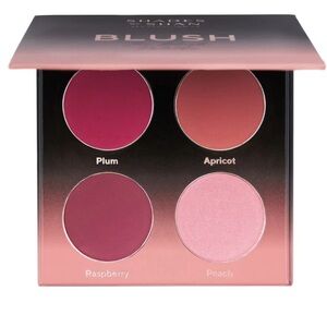 SHADES BY SHAN The Blush Palette- Plum/Apricot/Raspberry/Peach, NEW
